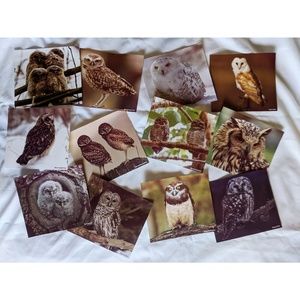 12 Mini Owl Posters